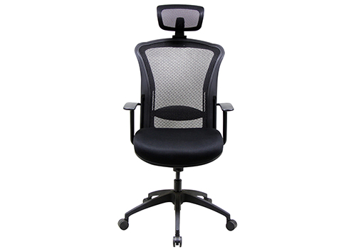 Executive mesh chair