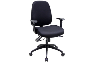 Computer / Task Chair 255TAF